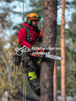 Удаление деревьев в Балашихе